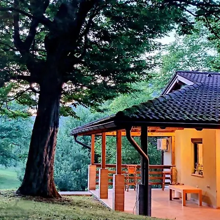 Private Place, Boca Bihać