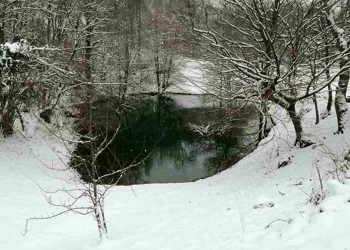 度假居 Private Place, Boca *