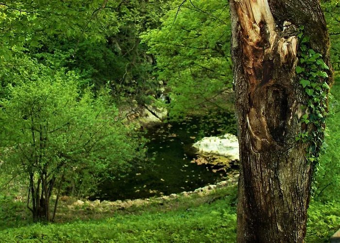 度假居 Private Place, Boca *