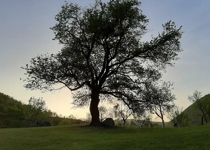 Private Place, Boca 度假居 *